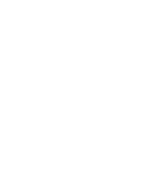logo-Pizolato.png